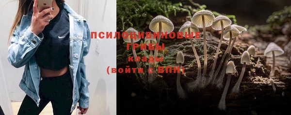 MESCALINE Алзамай